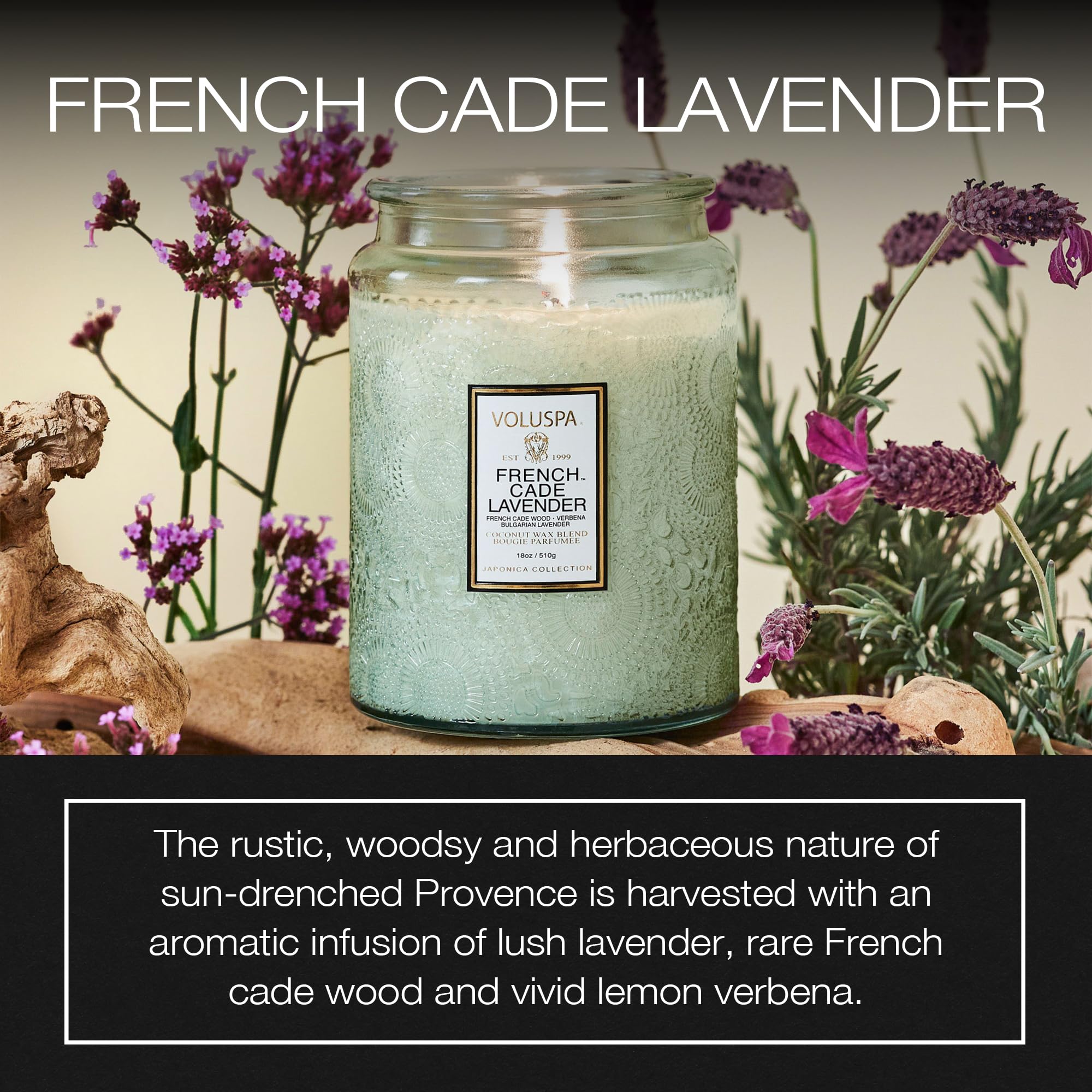 Voluspa coconut wax blend candle shown with clean burn and rich aroma