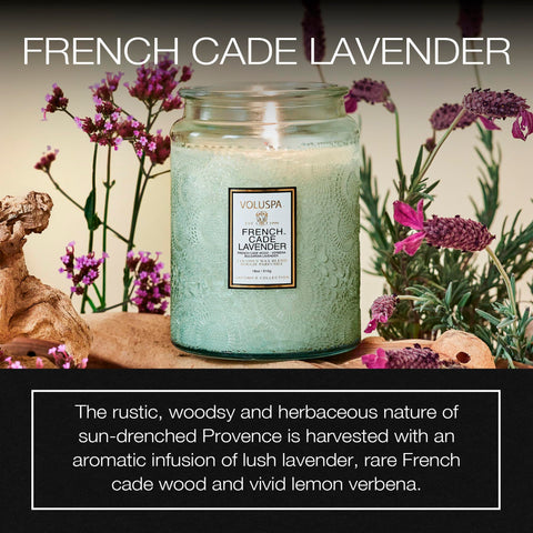 Voluspa coconut wax blend candle shown with clean burn and rich aroma