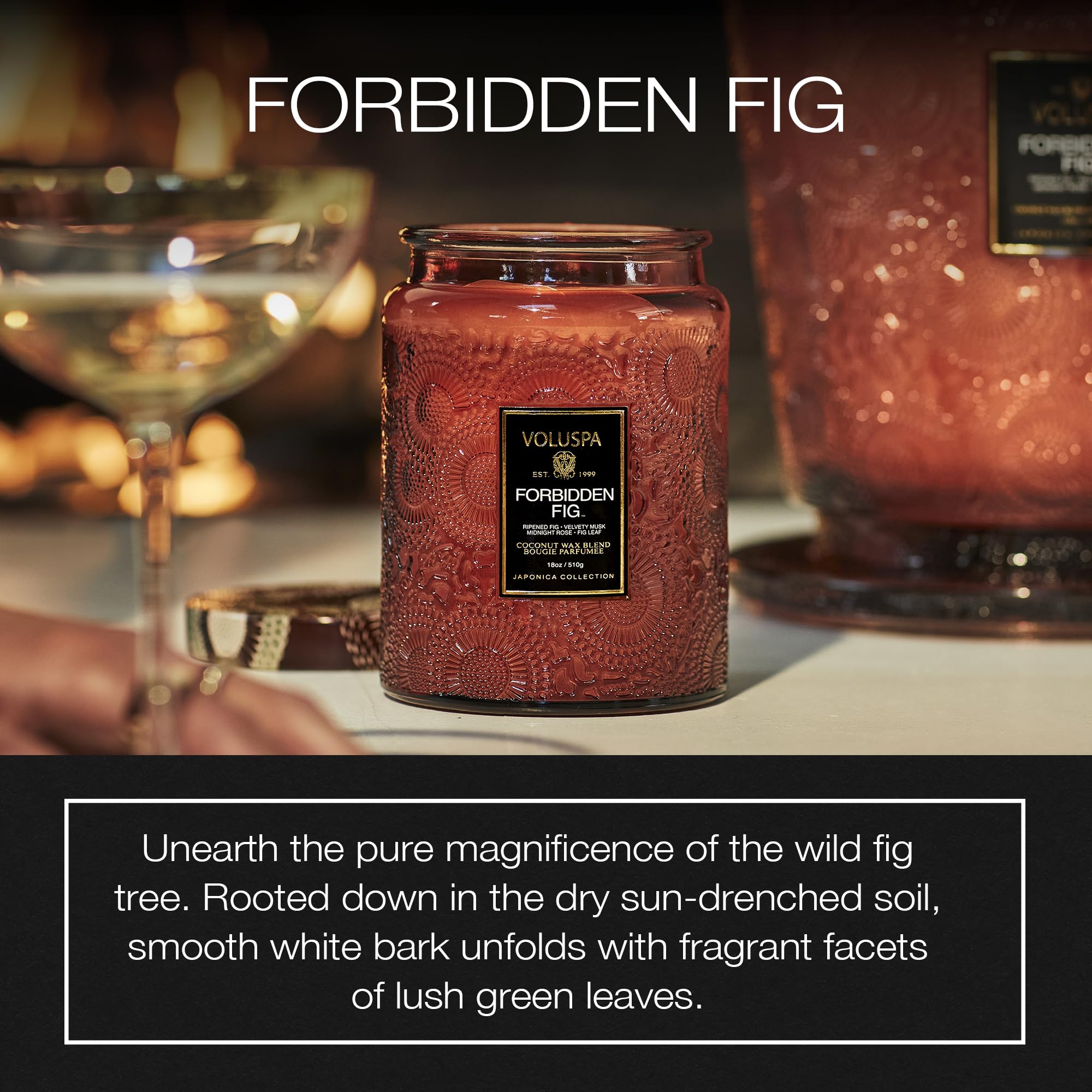 Voluspa Forbidden Fig candle with coconut wax blend for cleaner burn and better throw