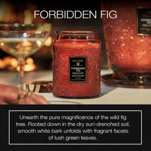 Voluspa Forbidden Fig candle with coconut wax blend for cleaner burn and better throw