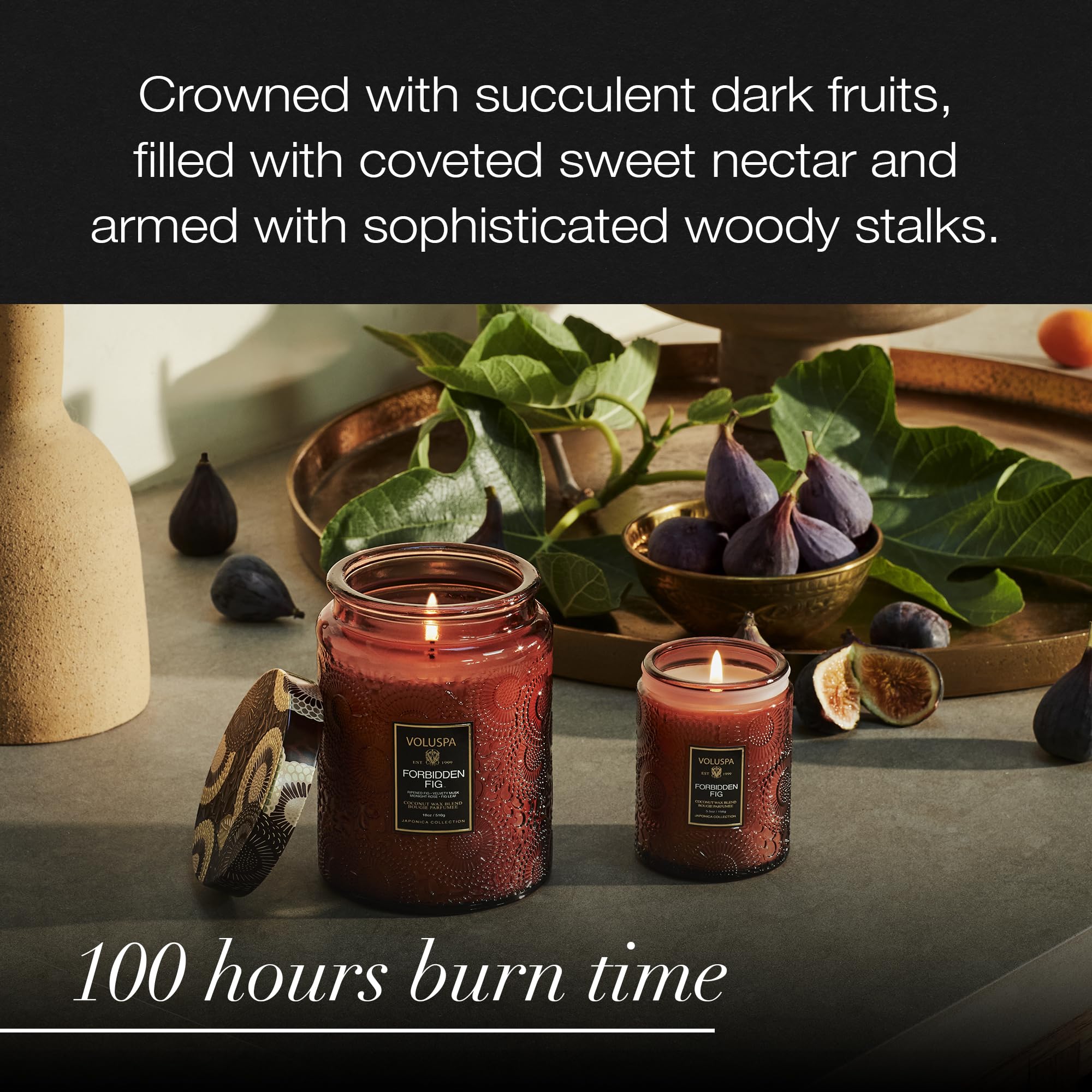 Voluspa Forbidden Fig candle styled in a living room for cozy ambience