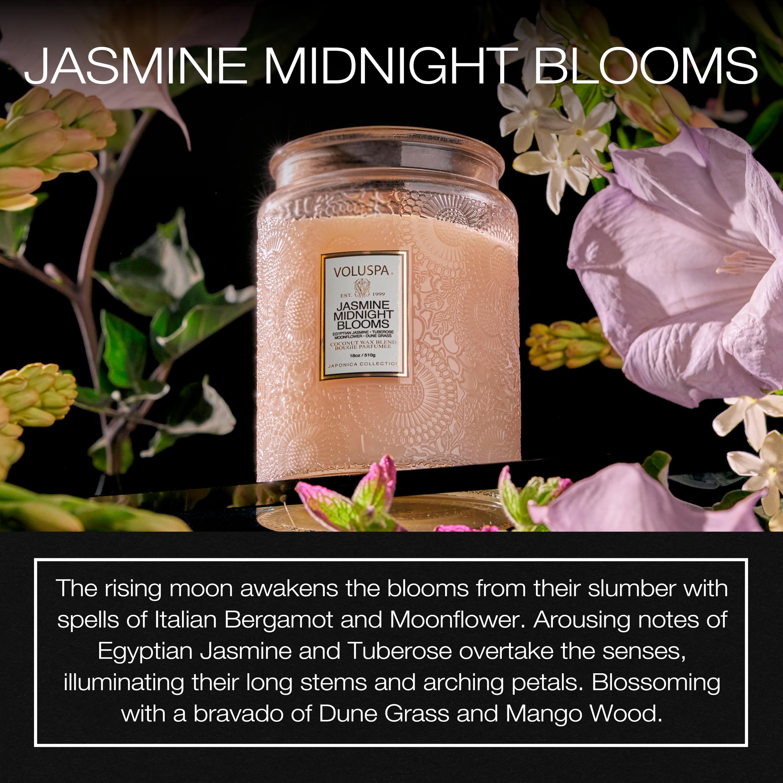 Voluspa Jasmine Midnight Blooms label closeup shows premium packaging and fragrance.