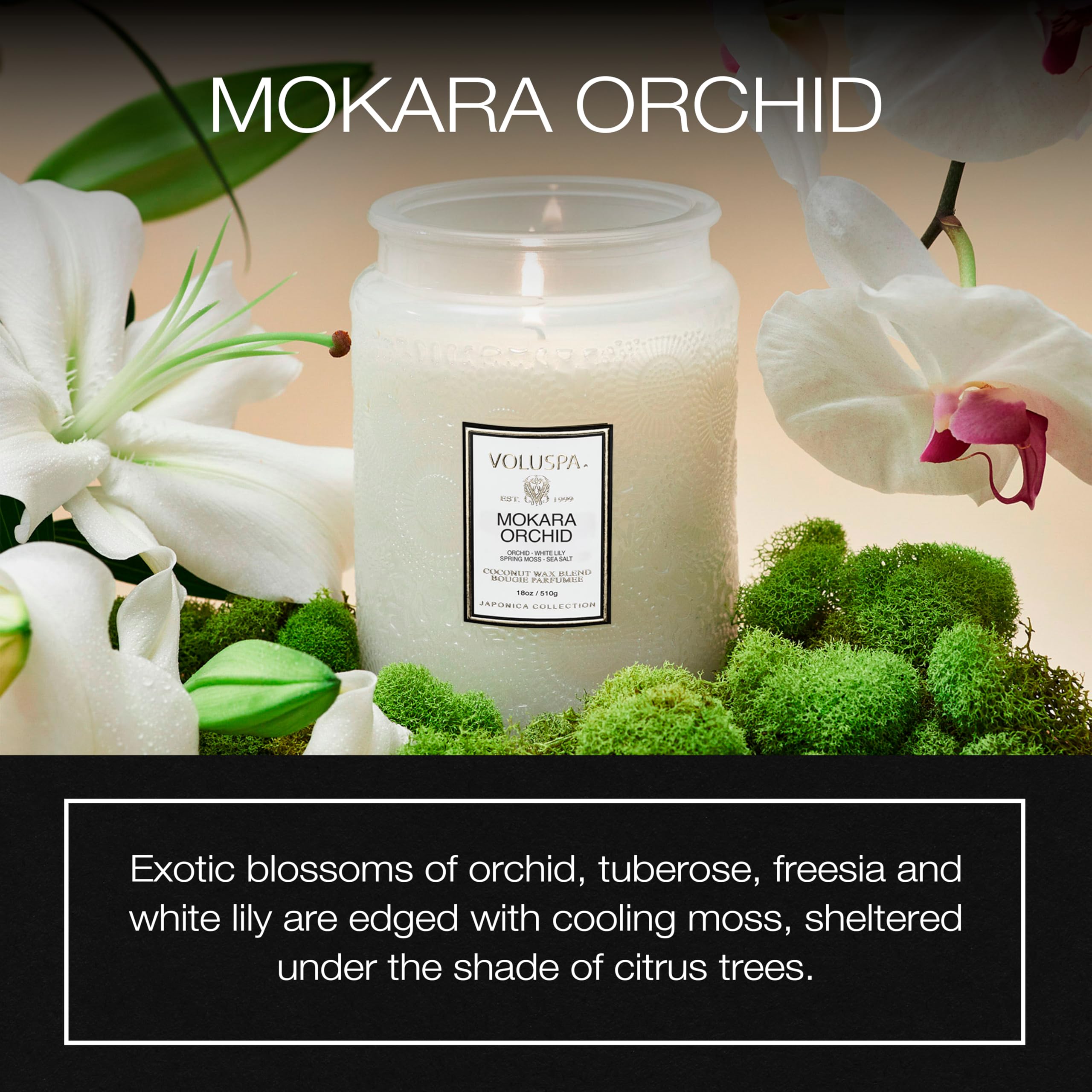 Voluspa coconut wax blend promotes a cleaner burn and richer fragrance.