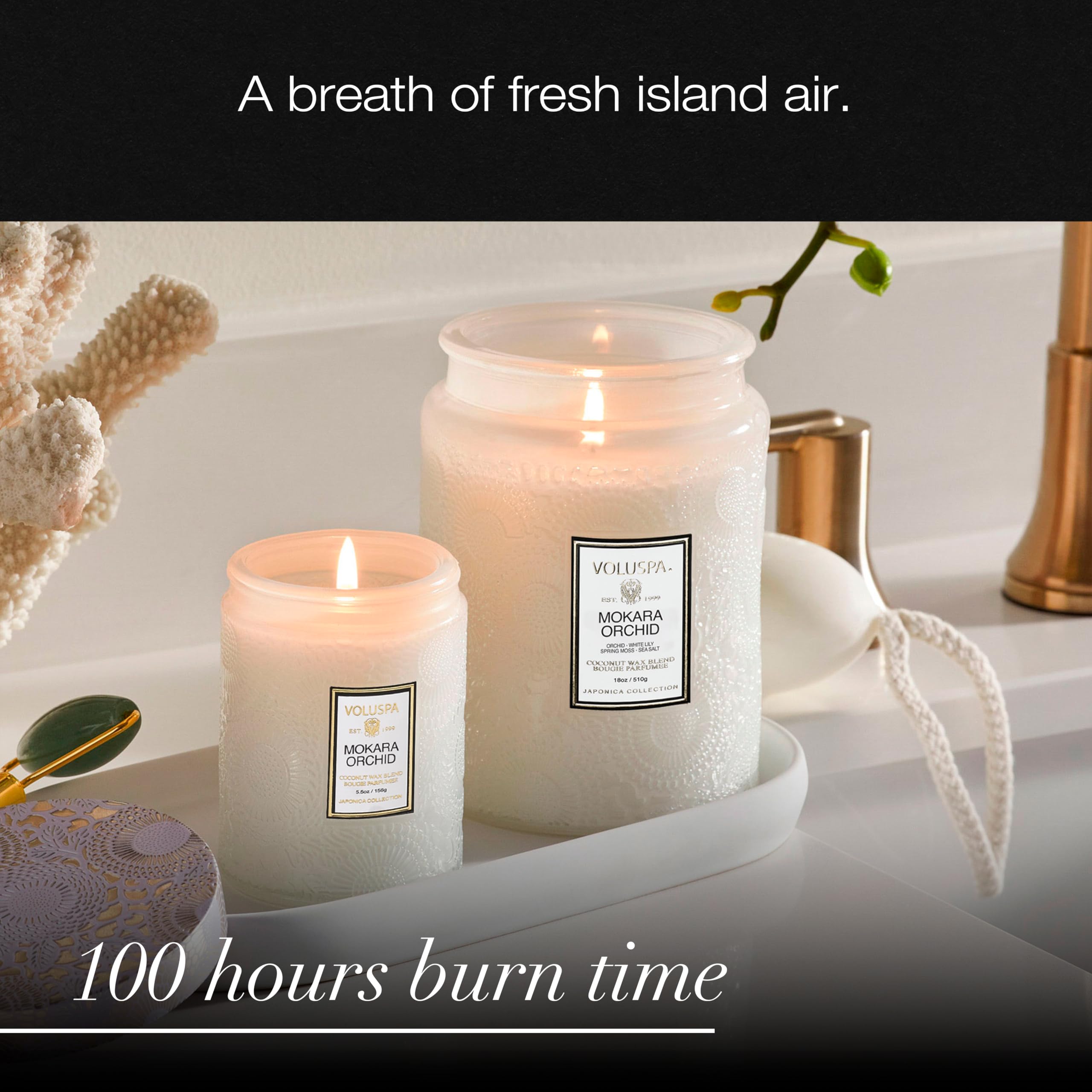 Voluspa decorative jar adds elegance to any room's decor.