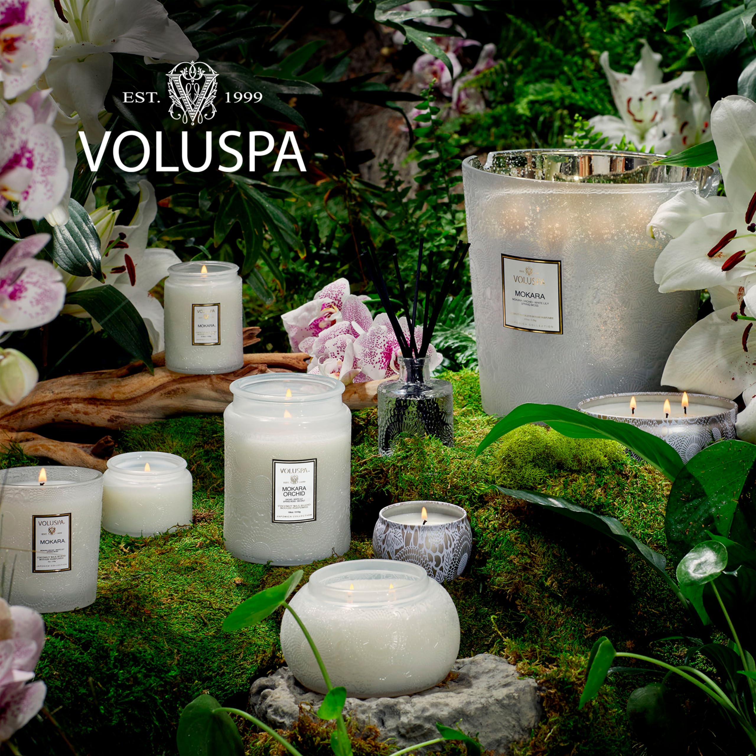 Voluspa Mokara Orchid candle makes a gift-ready present for occasions.