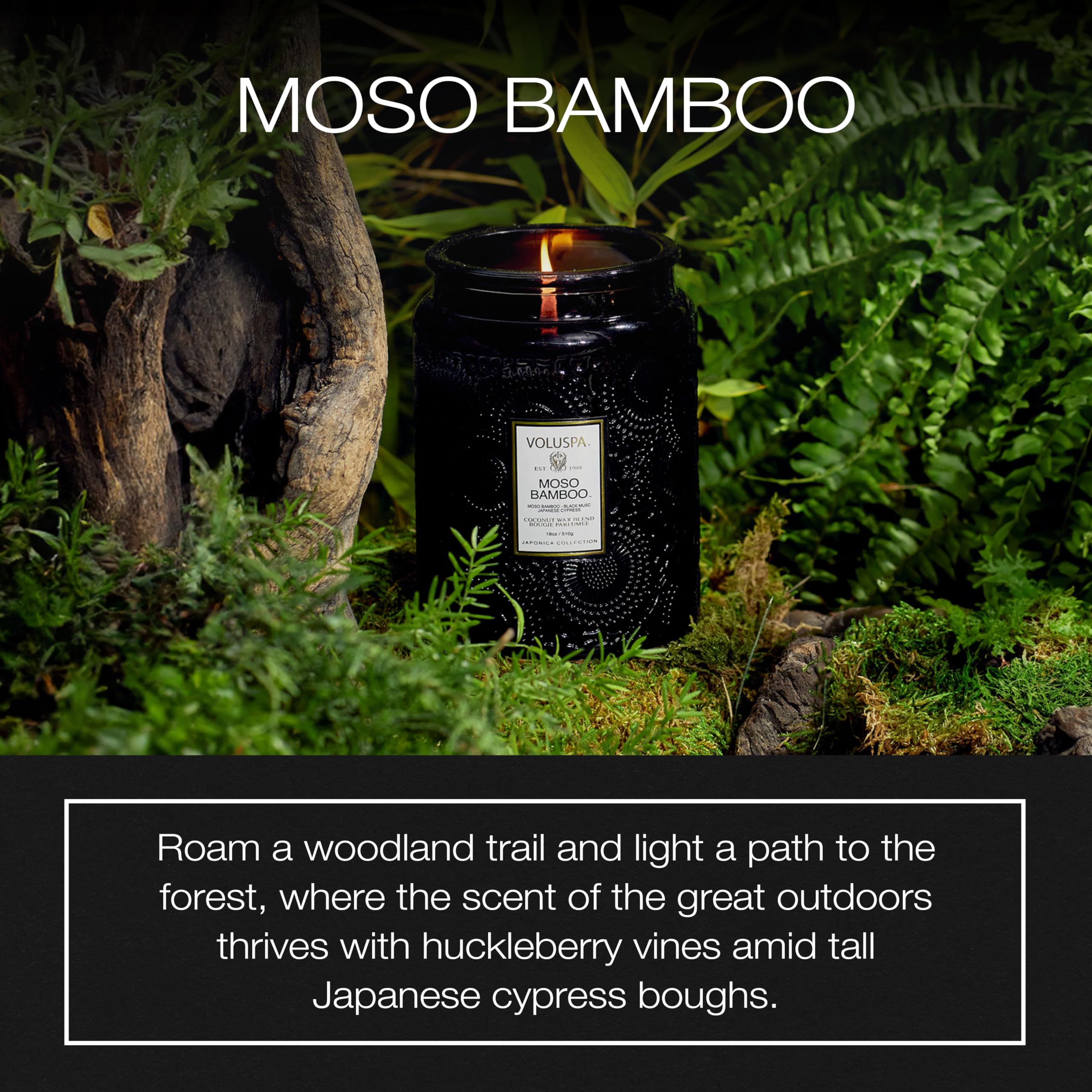 Voluspa Moso Bamboo woodsy scent profile for calming rooms.