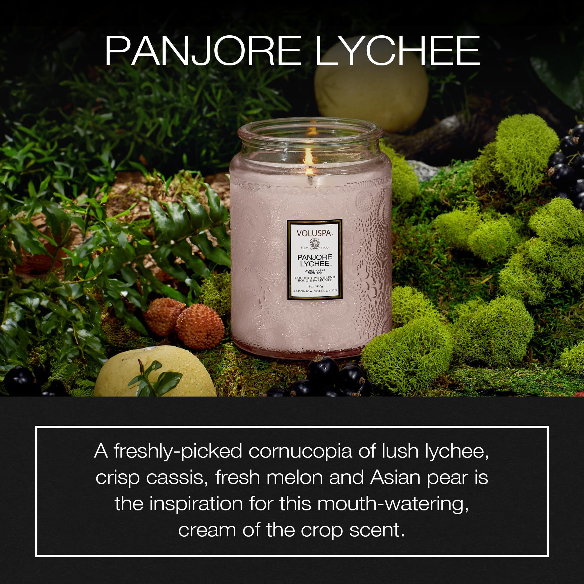 Voluspa Panjore Lychee candle close-up showing coconut wax for a cleaner burn.