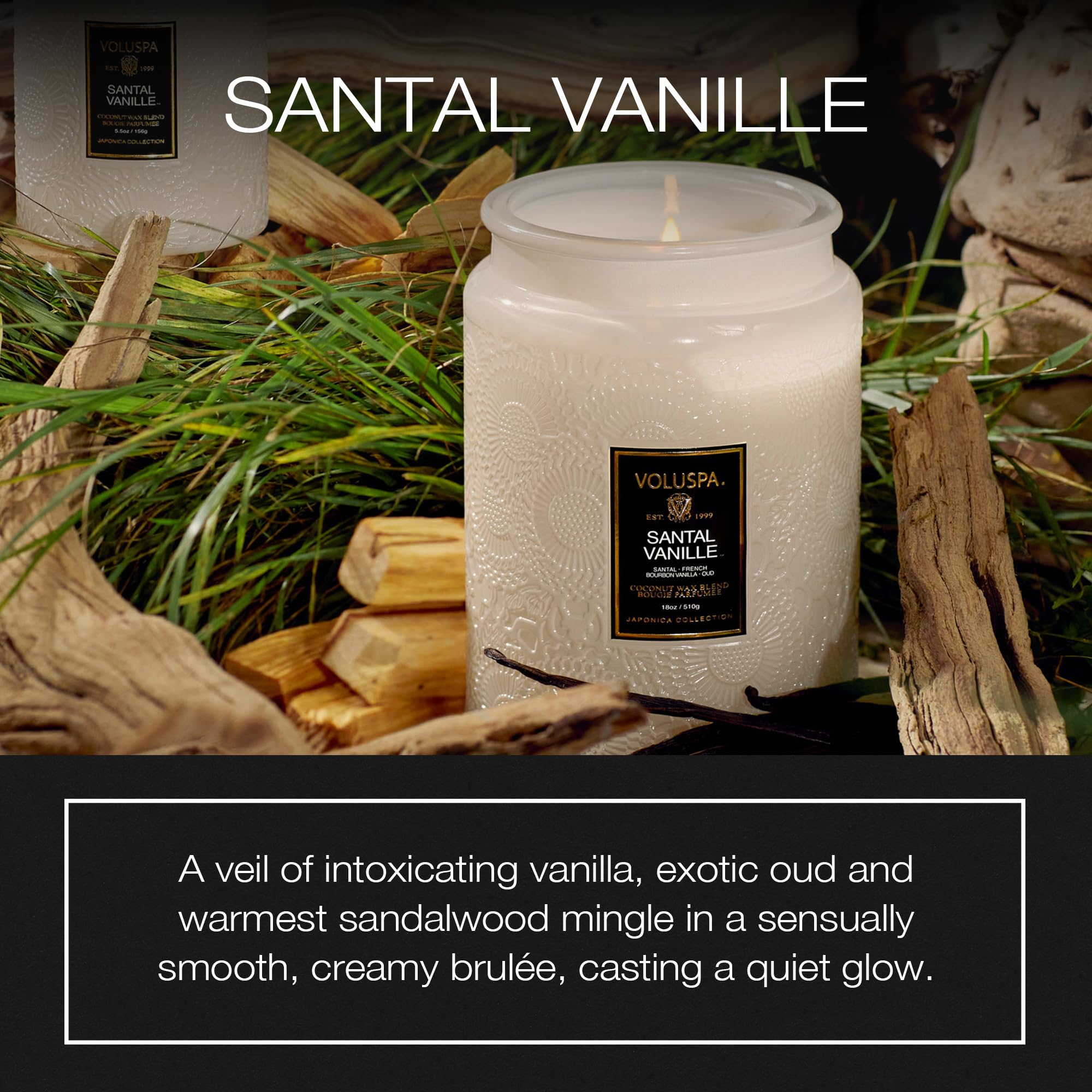 Voluspa Santal Vanille jar detail highlighting coconut wax for clean burn.