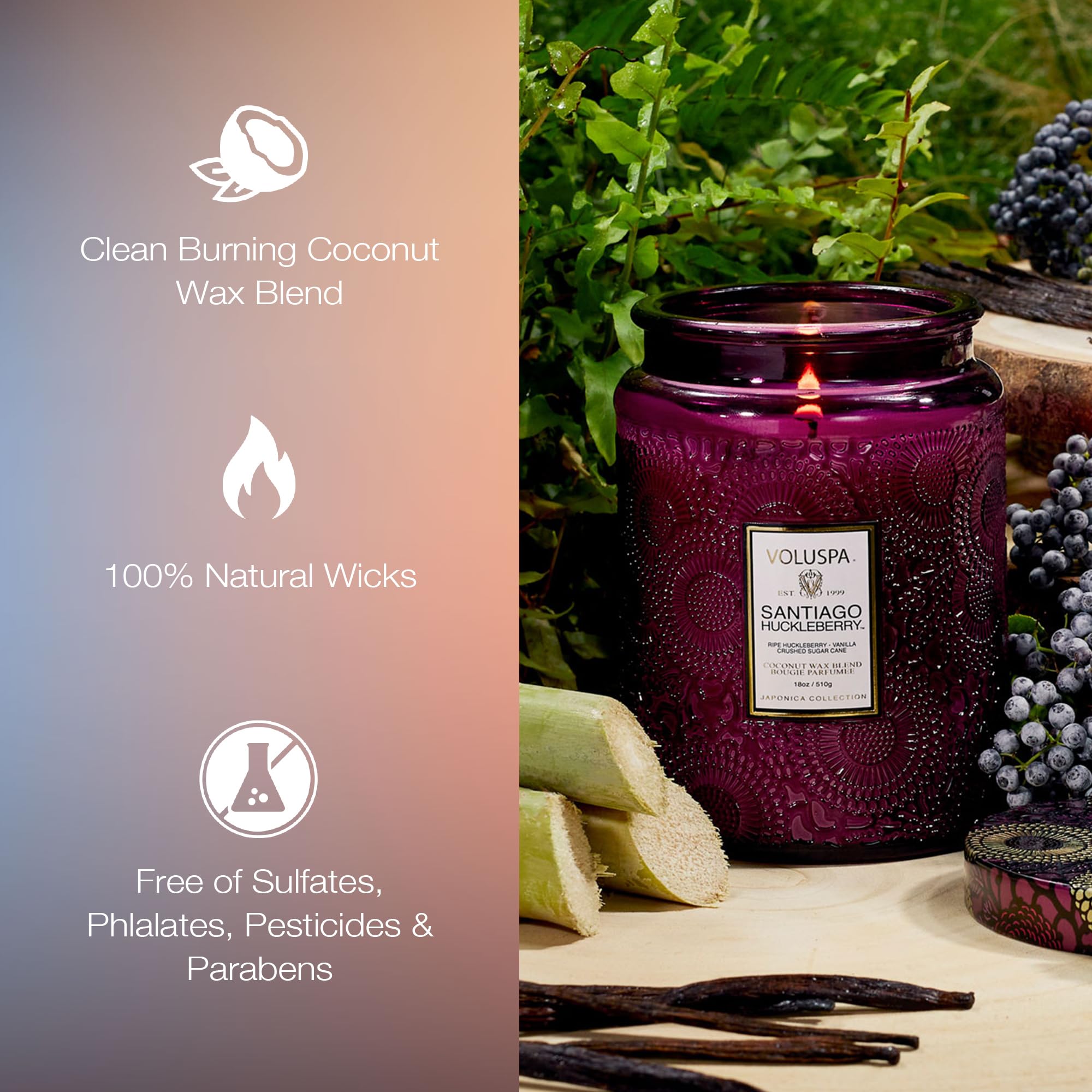Voluspa Santiago Huckleberry 18 oz jar emphasises long burn time and aroma