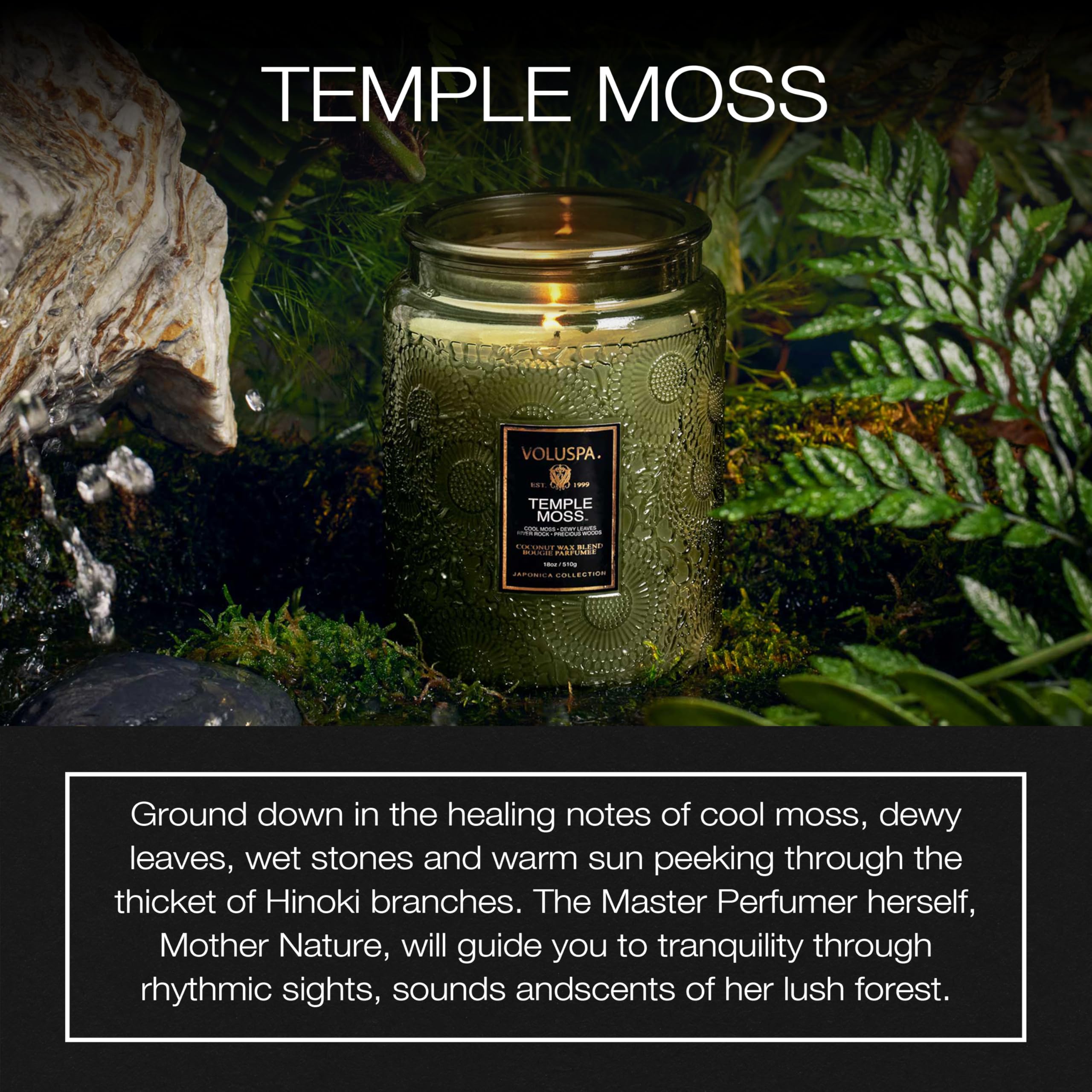 Voluspa Temple Moss candle jar label close-up, premium decor and long-lasting aroma.
