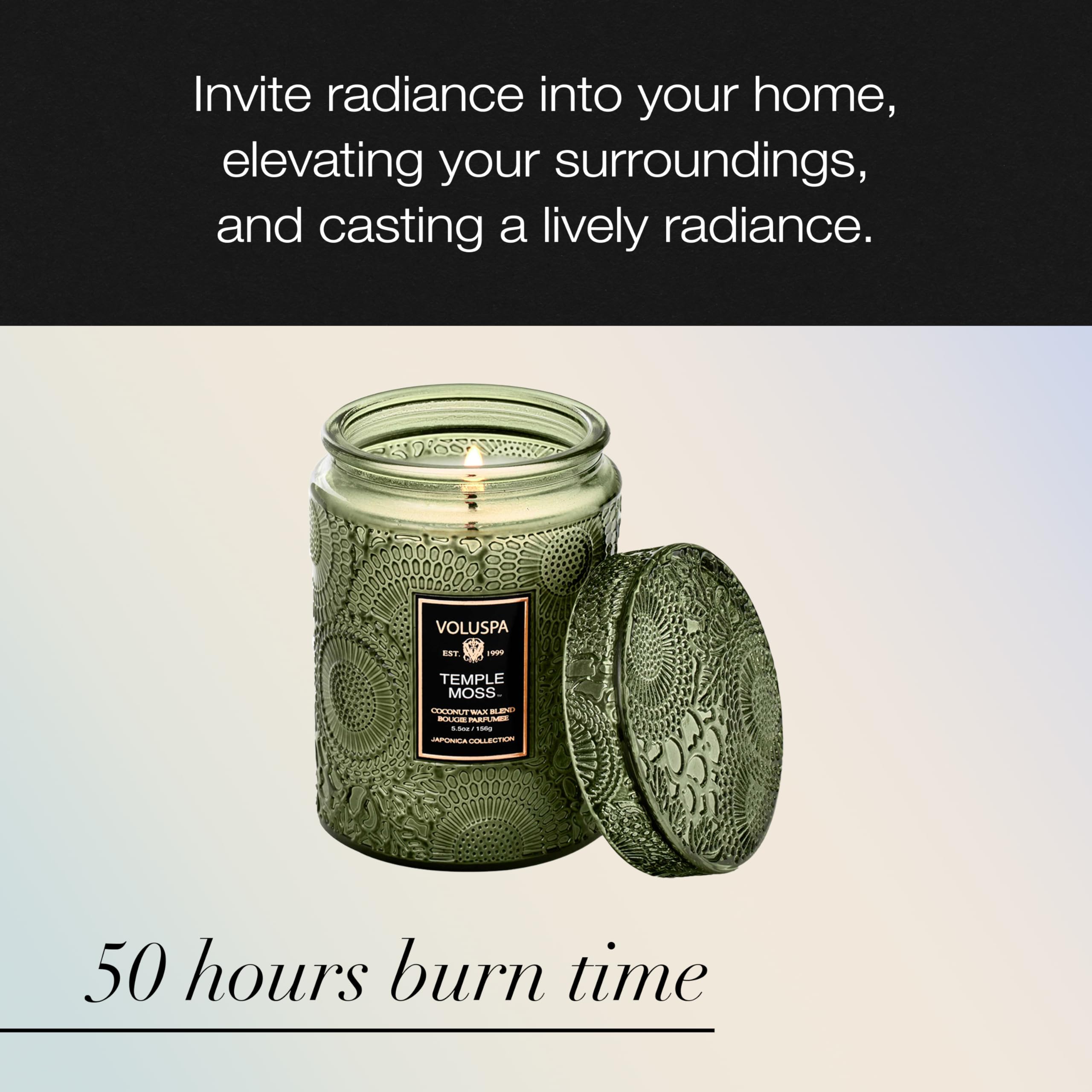 Temple Moss candle in an ambient setting adding serene glow