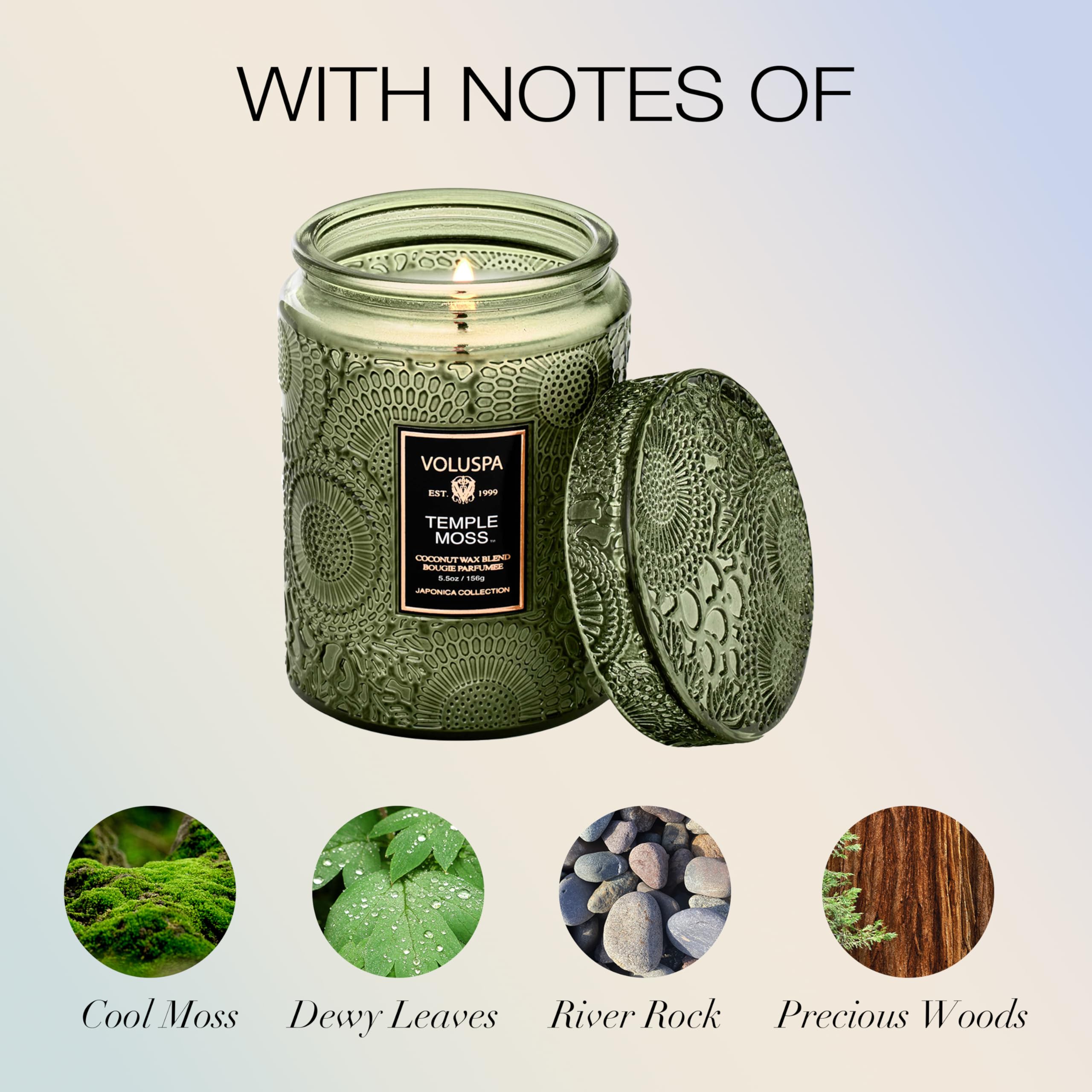 Temple Moss packaging on display, gift-ready decorative jar