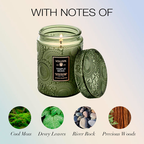 Temple Moss packaging on display, gift-ready decorative jar