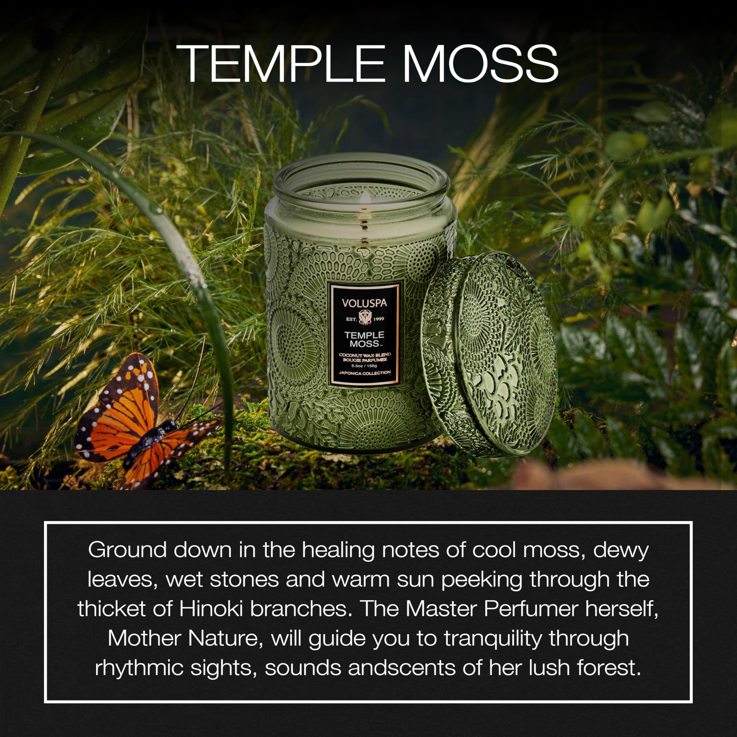 Voluspa Temple Moss candle wax close-up showing coconut wax for a cleaner burn