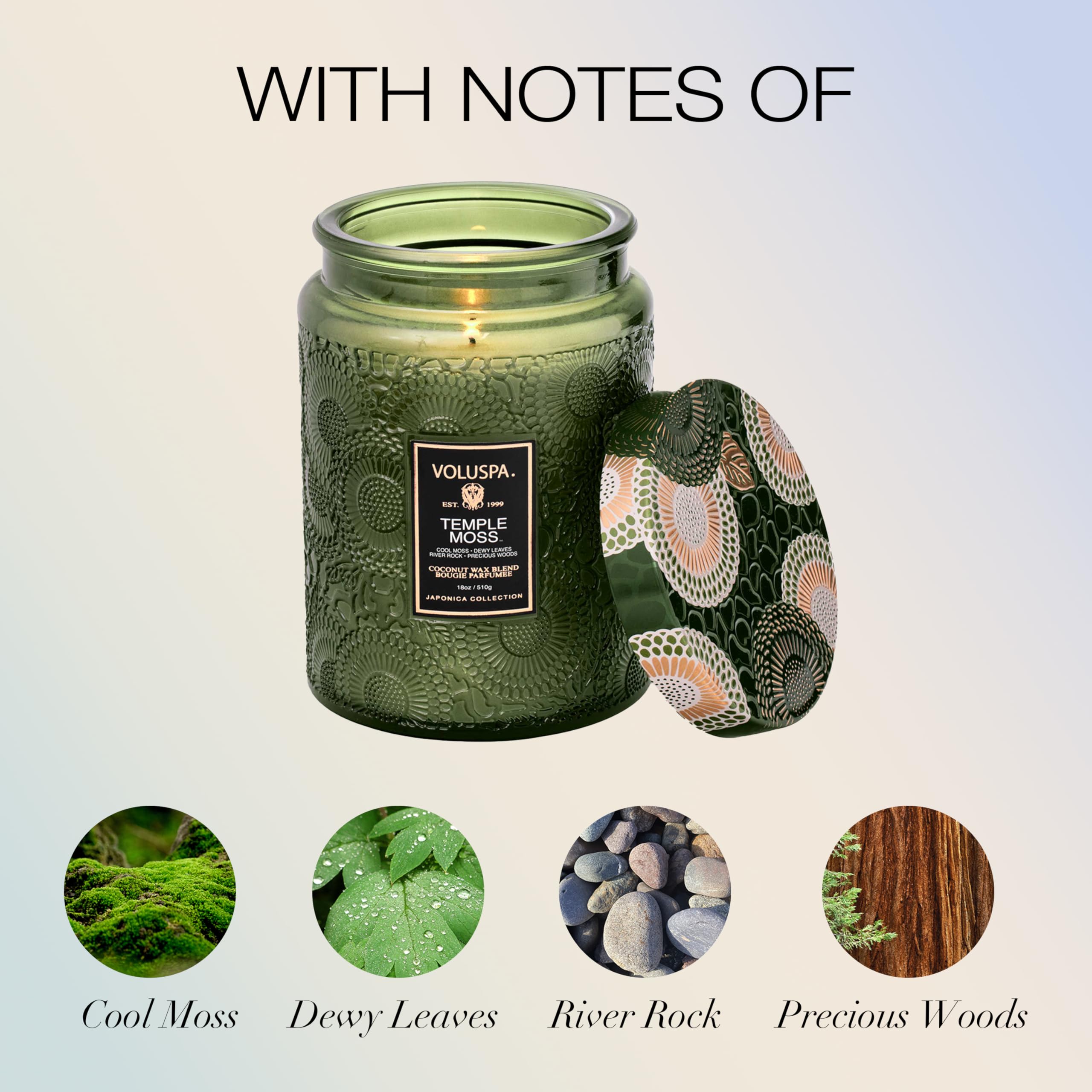 Voluspa Temple Moss wax close-up, clean burn in a coconut wax blend.