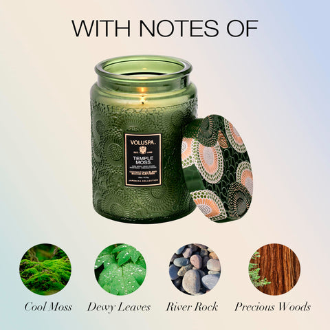 Voluspa Temple Moss wax close-up, clean burn in a coconut wax blend.