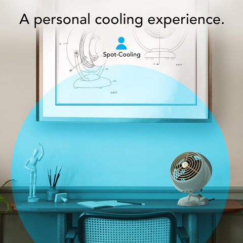 Vornado VFAN Mini Classic two-speed options offer flexible comfort.