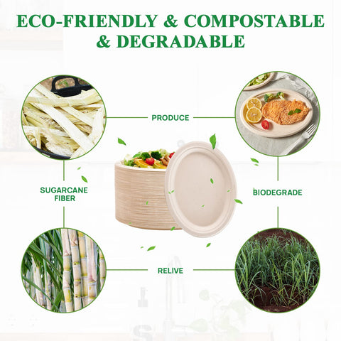 Closeup of Vplus bagasse sugarcane fiber plates emphasizing sustainable material