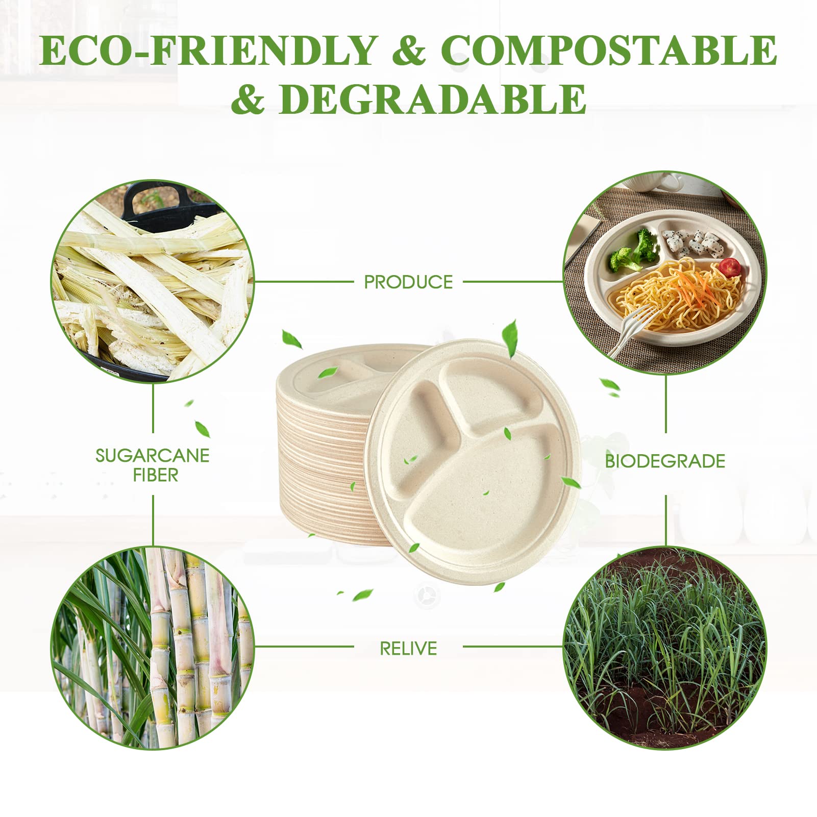 Vplus environmentally friendly paper plates promote responsible waste management