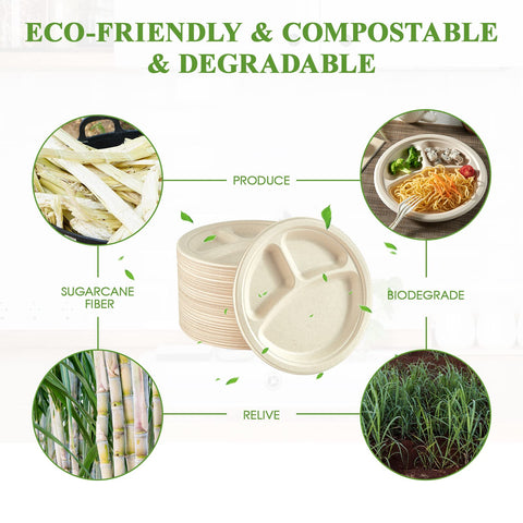 Vplus environmentally friendly paper plates promote responsible waste management