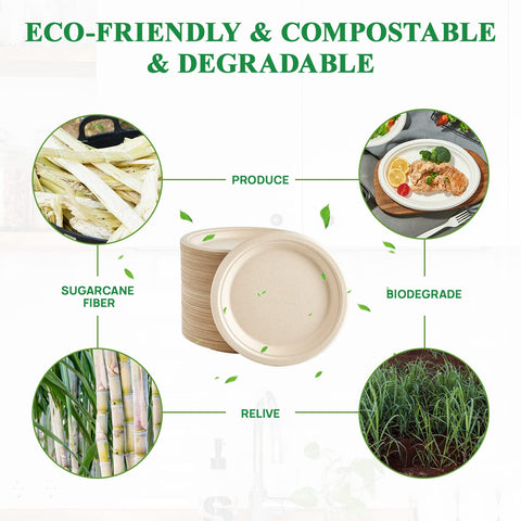 Vplus microwave-freezer-safe plate lets you reheat leftovers safely.