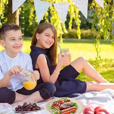 Vplus party-ready plates setup for weddings, picnics, and gatherings.