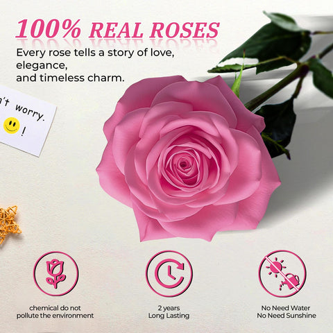 Vryblos forever flowers offer years of beauty with minimal care.