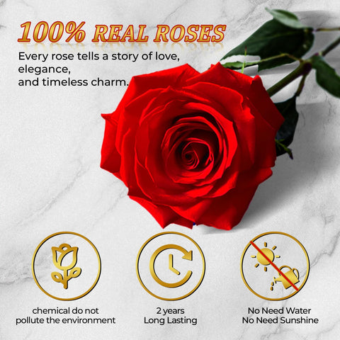 Vryblos preserved roses in multiple colors for any occasion.
