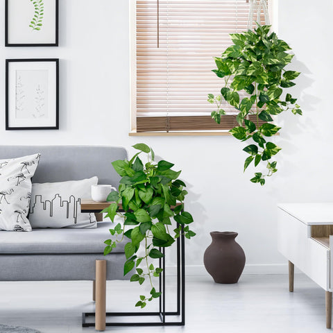 Vuahaul hanging plant in white pot with stone base for stable display.