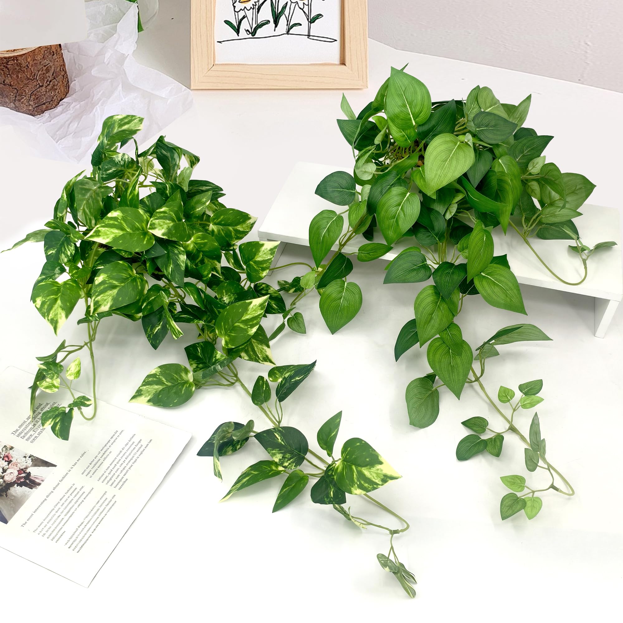 Vuahaul low-maintenance greenery ideal for sunless spaces and desks.