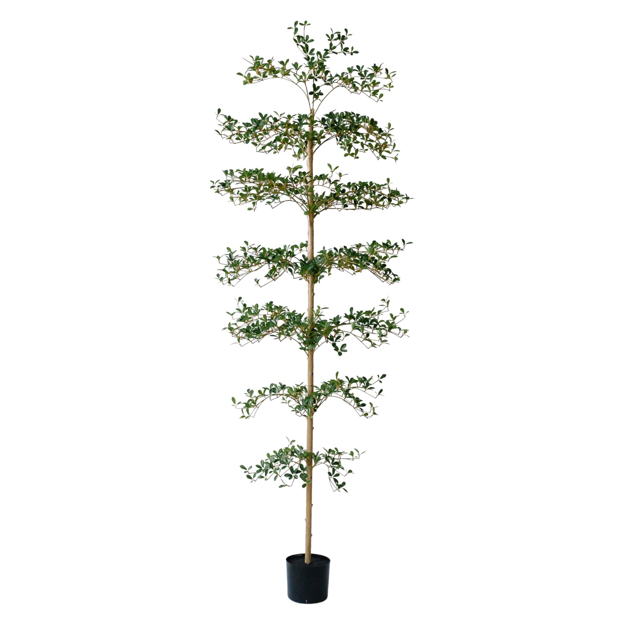 Entryway display with the VYNT 7ft faux olive tree