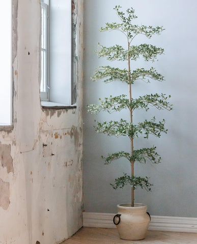 Detailed foliage of Shady Lady tree for natural look