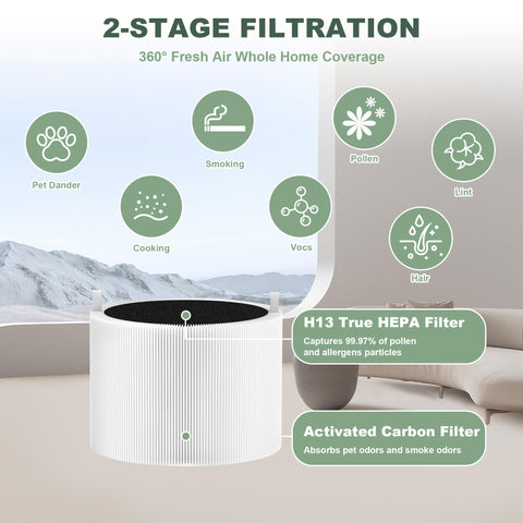 W-LINVEIN G Mini Max filter activated carbon layer for odor control and fresh air.