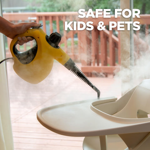 Wagner 505e steamer cleans windows for a streak-free finish.