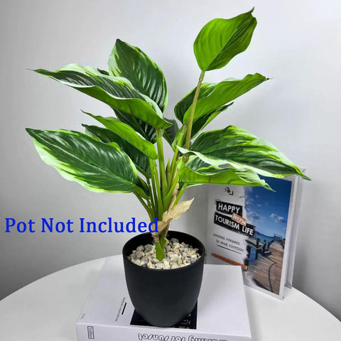 WAIFOMEI variegated hosta bushes in a garden border for maintenance-free greenery.
