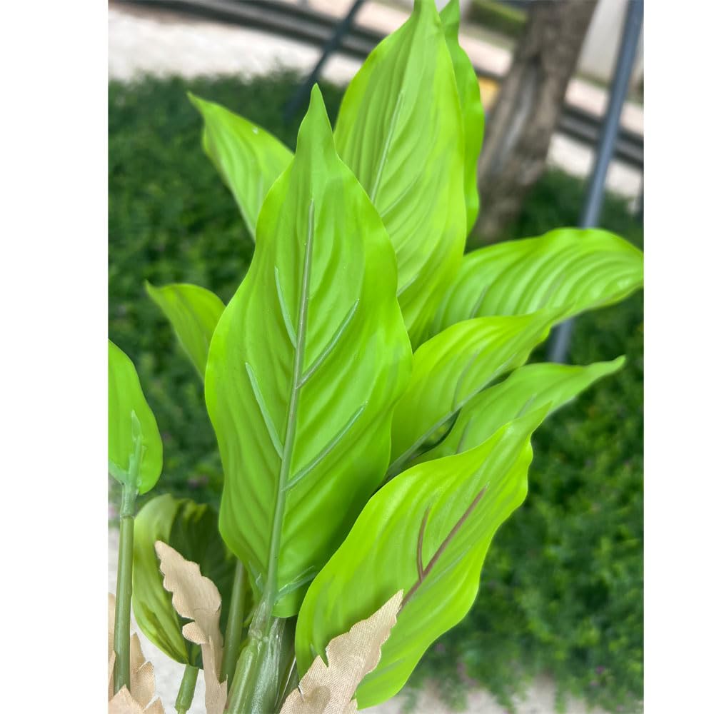 WAIFOMEI four-bush pack for hanging baskets or garden beds.