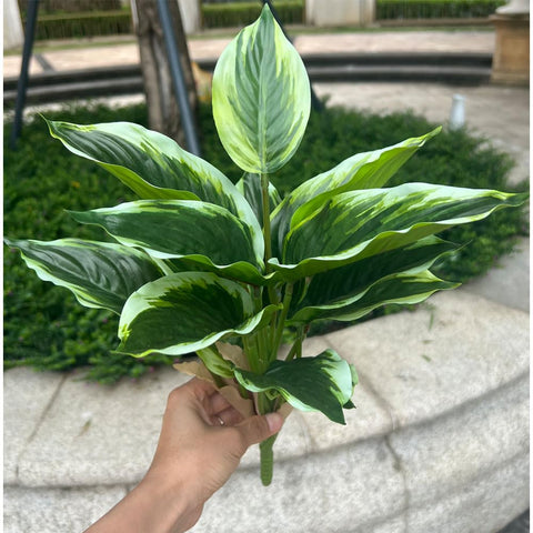 WAIFOMEI outdoor-ready hosta bushes arranged with other shrubs in yard.