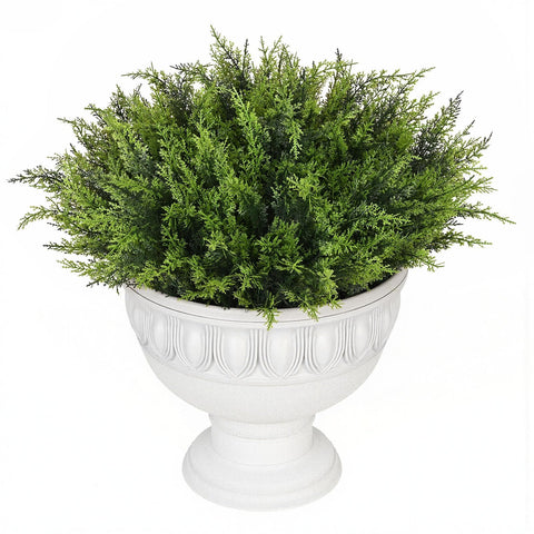 Waipfaru outdoor space greenery for holidays and seasonal decor ideas
