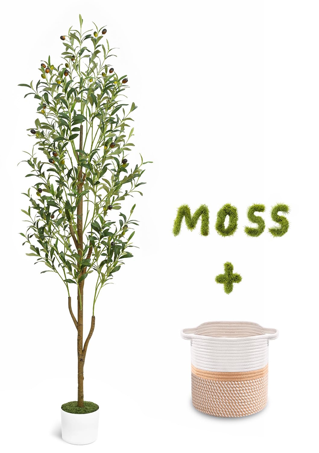 Waipfaru artificial olive tree, 6ft tall with white pot, ready to brighten any space.