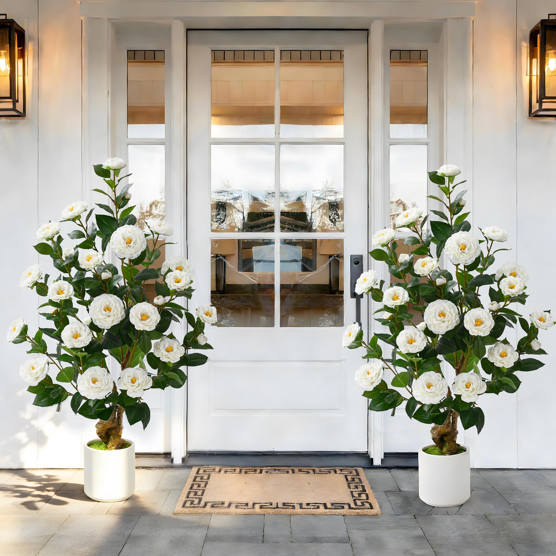 Waipfaru camellia trees 38inch pair on front porch with lush, maintenance-free greenery.
