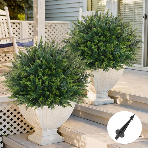 Waipfaru cedar topiary 23-inch two-pack, year-round greenery for porch or garden.