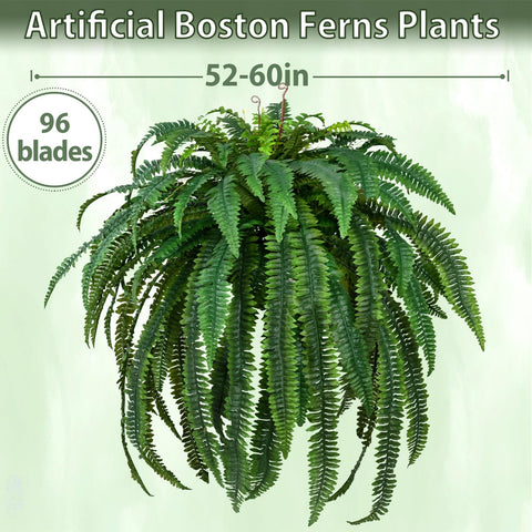 Waipfaru 60-inch diameter fern layout for full coverage