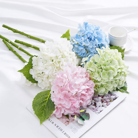 Waipfaru easy-care hydrangea that stays fresh-looking year-round