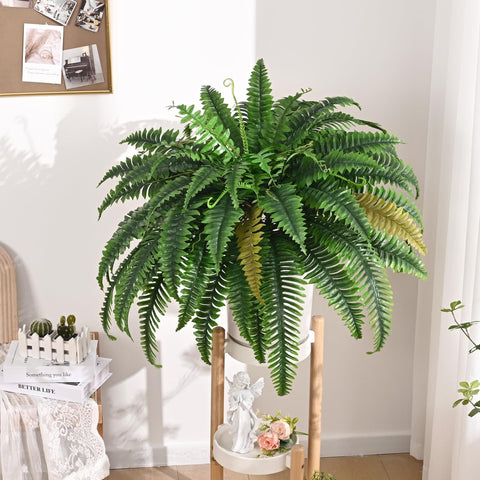 Waipfaru fern in pot or basket for versatile decor.