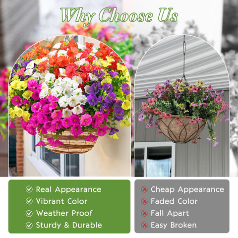 Waipfaru front porch planter display with long-lasting color outdoors.