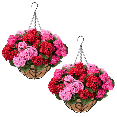 Waipfaru geraniums outdoor bundles add vibrant porch color
