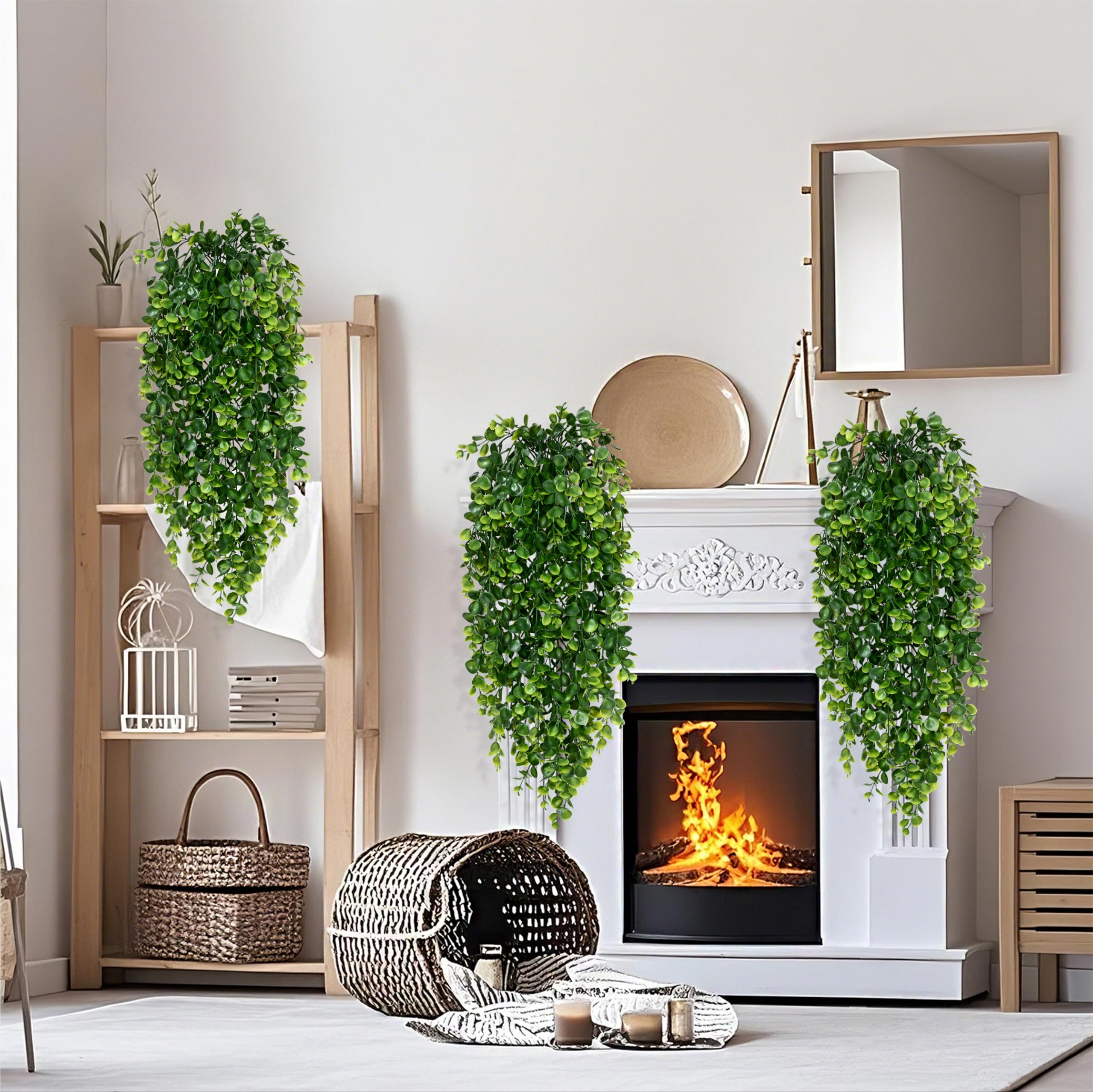 Waipfaru hanging plants in a living room setting for warm ambience