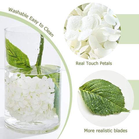 Waipfaru hydrangea stems measure 16.5 inches for natural height.