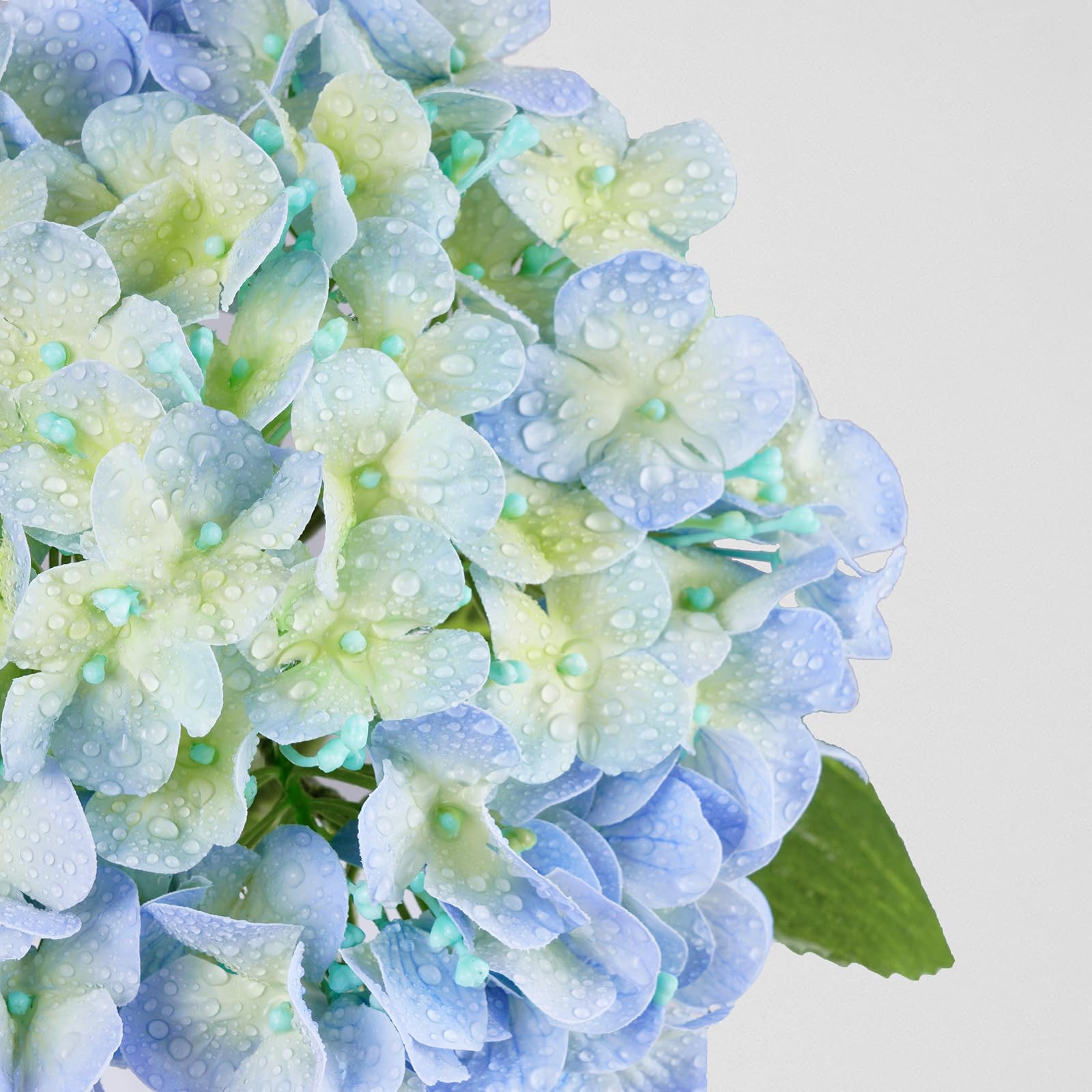 Waipfaru Hydrangea with durable wire stems enables flexible DIY styling.