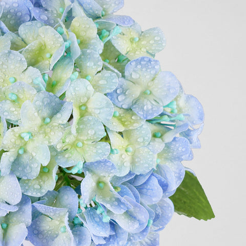 Waipfaru Hydrangea with durable wire stems enables flexible DIY styling.